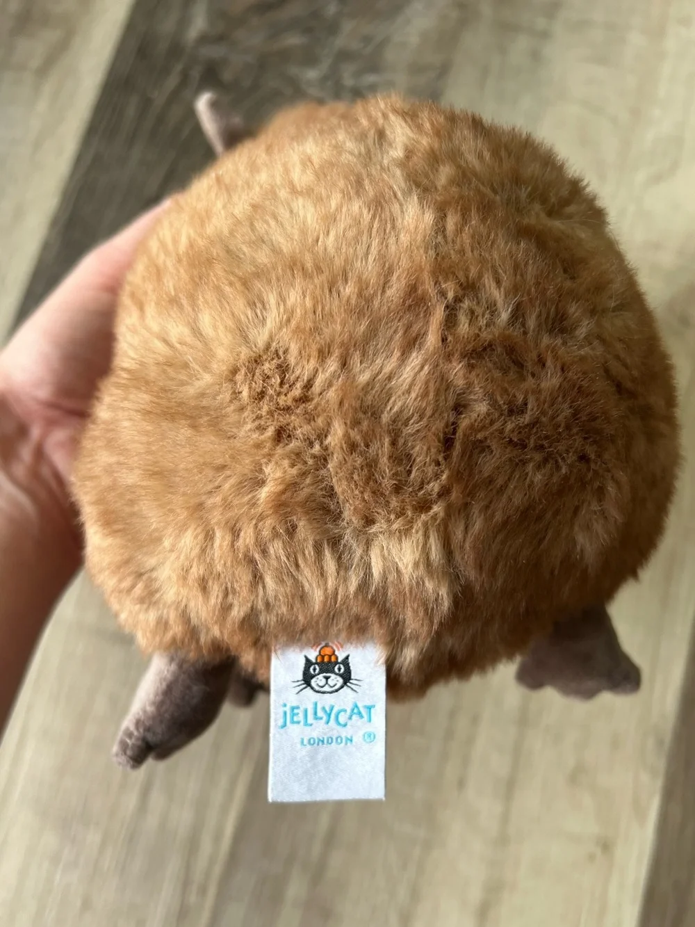 Jellycat Clyde Capybara - Picture 6 of 11